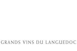 Clairette du Languedoc