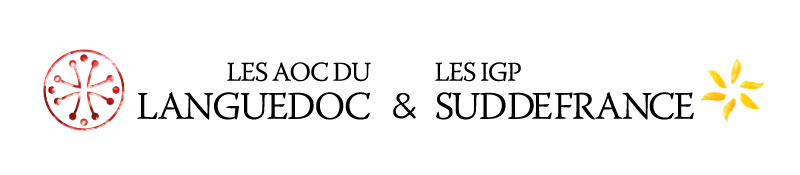 logo-civl-2020.jpg